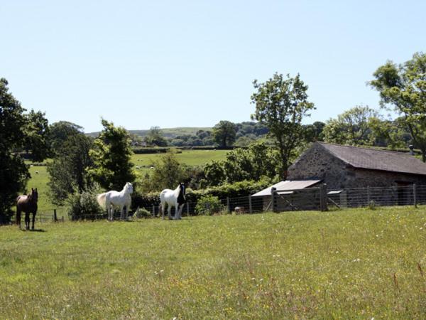 The Shippon Villa Conwy Exterior photo